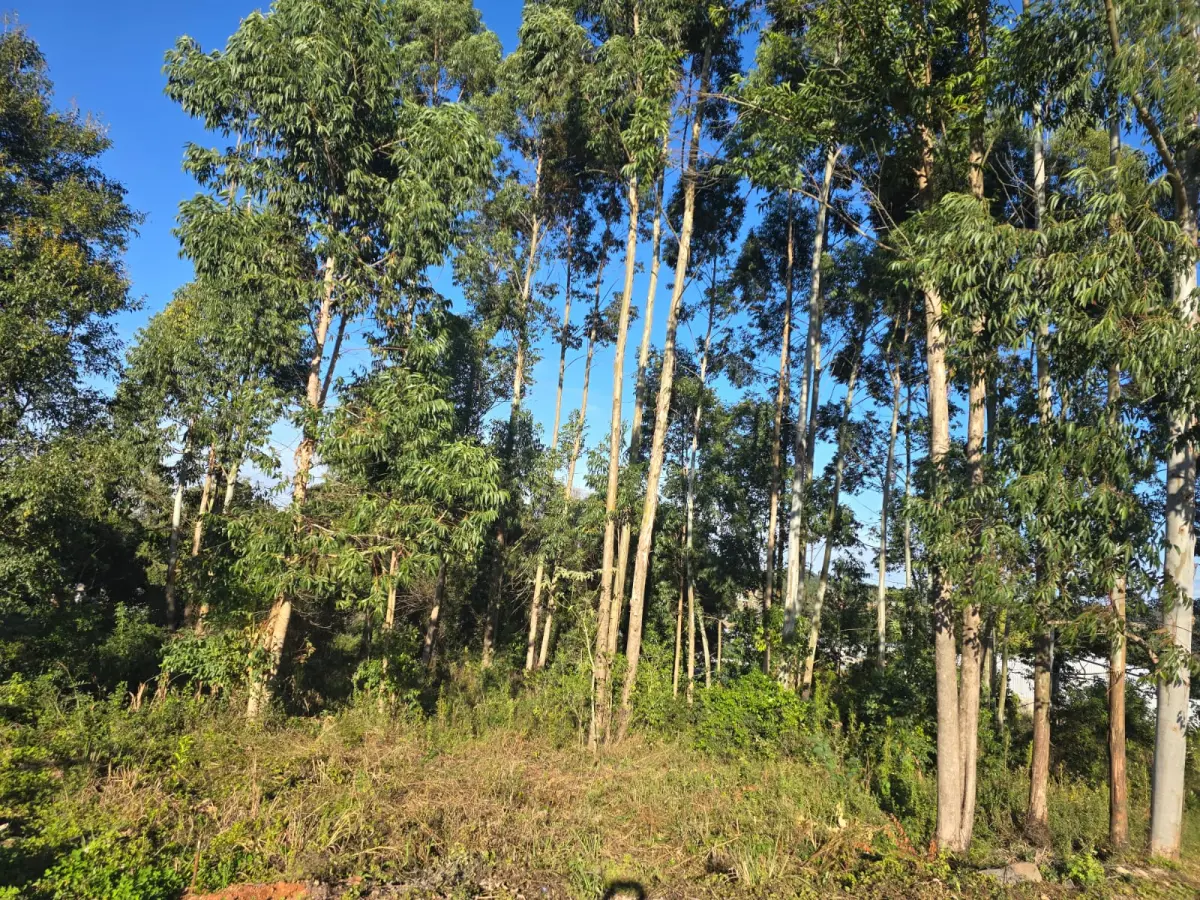 LOTE 020 - terreno urbano medindo 440 m2, sem benfeitorias, situado na Rua João Luiz Ferreira, esquina com a Rua Humberto Valério, Lote nº 05, da quadra nº 08 – B, na Matrícula nº 7.876