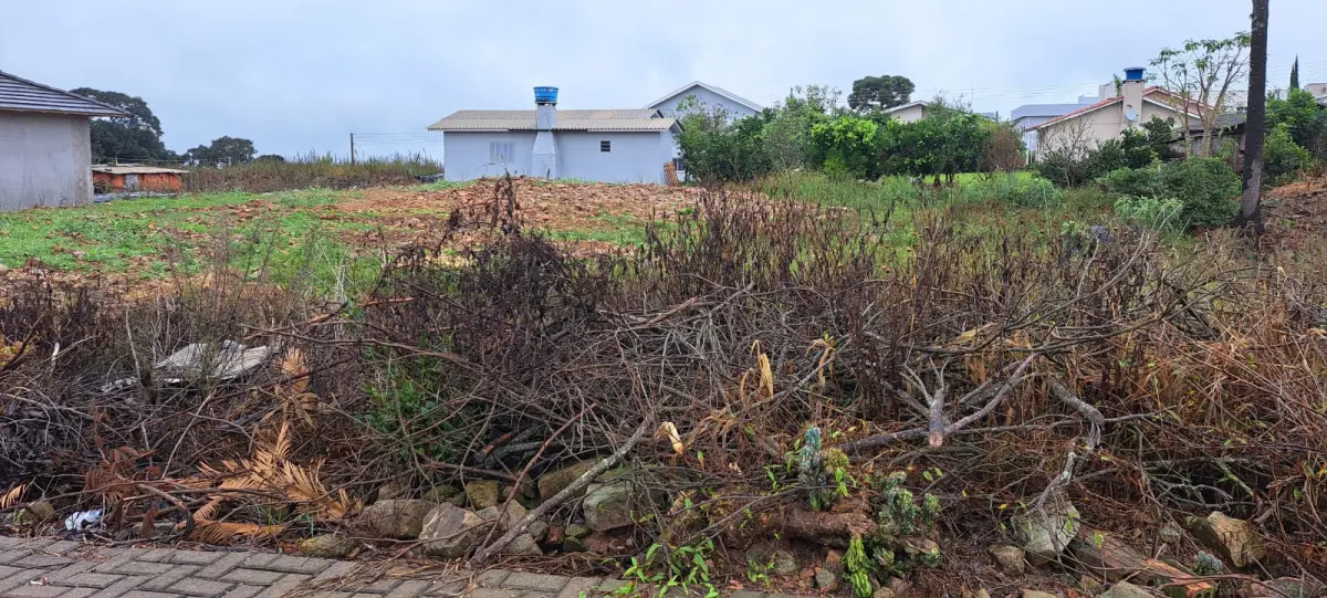 LOTE 001