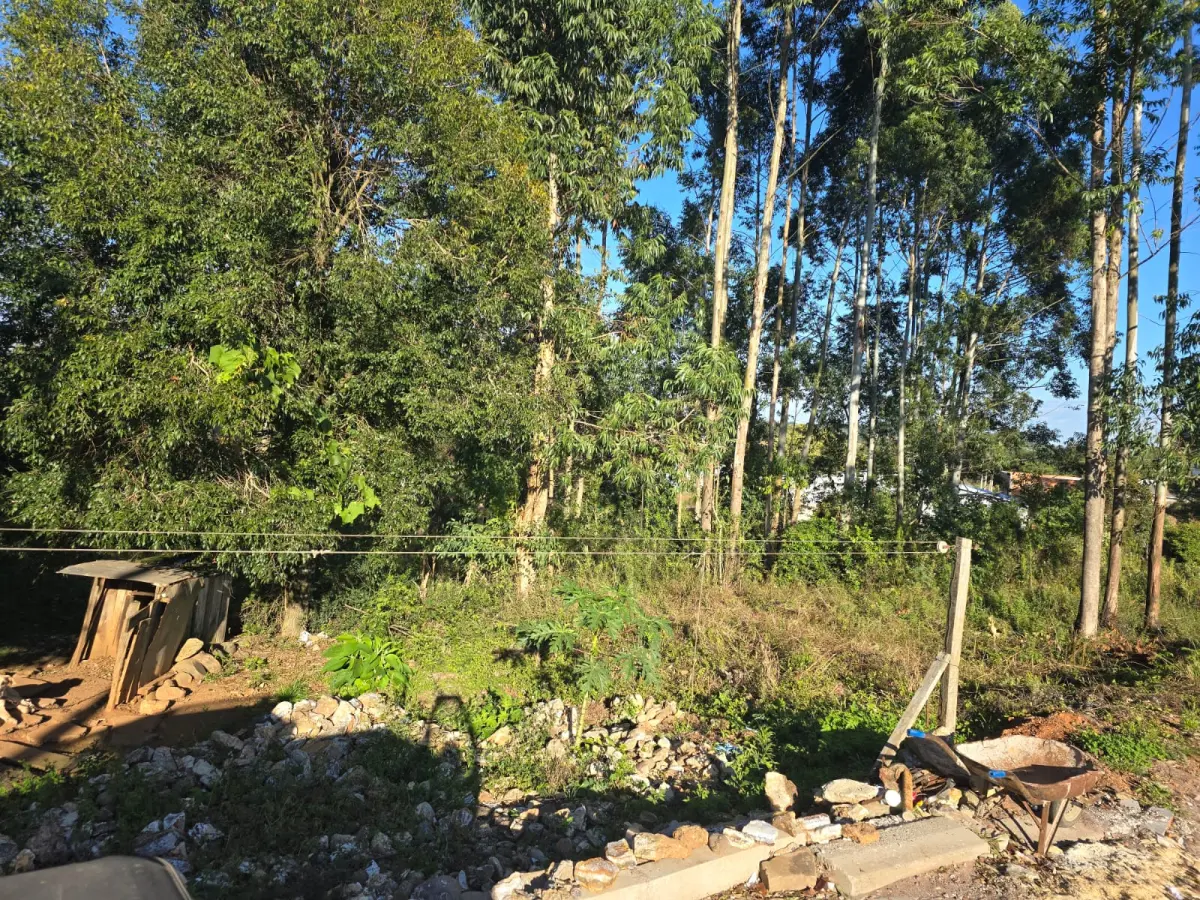 LOTE 019 - terreno urbano medindo 440 m2, sem benfeitorias, situado na Rua João Luiz Ferreira, Lote Urbano nº04, da Quadra nº 08 - B, na Matrícula nº 7.875