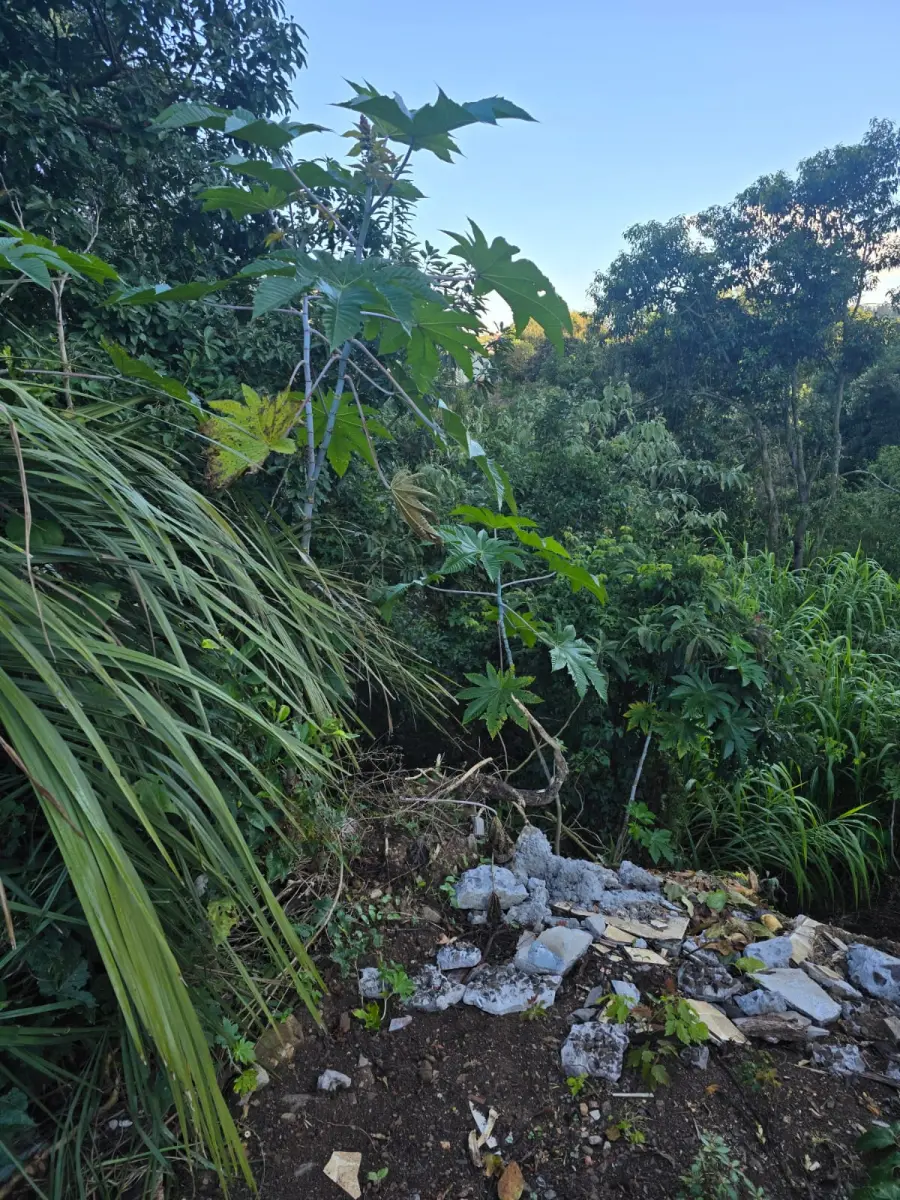 LOTE 021 - terreno urbano medindo 360 m2, sem benfeitorias, situado na Rua Alberto Antônio Gozzi,, Lote nº 02, da quadra nº 82, na Matrícula nº 5.311