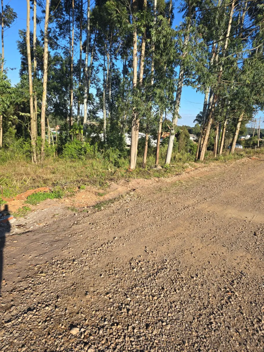 LOTE 020 - terreno urbano medindo 440 m2, sem benfeitorias, situado na Rua João Luiz Ferreira, esquina com a Rua Humberto Valério, Lote nº 05, da quadra nº 08 – B, na Matrícula nº 7.876