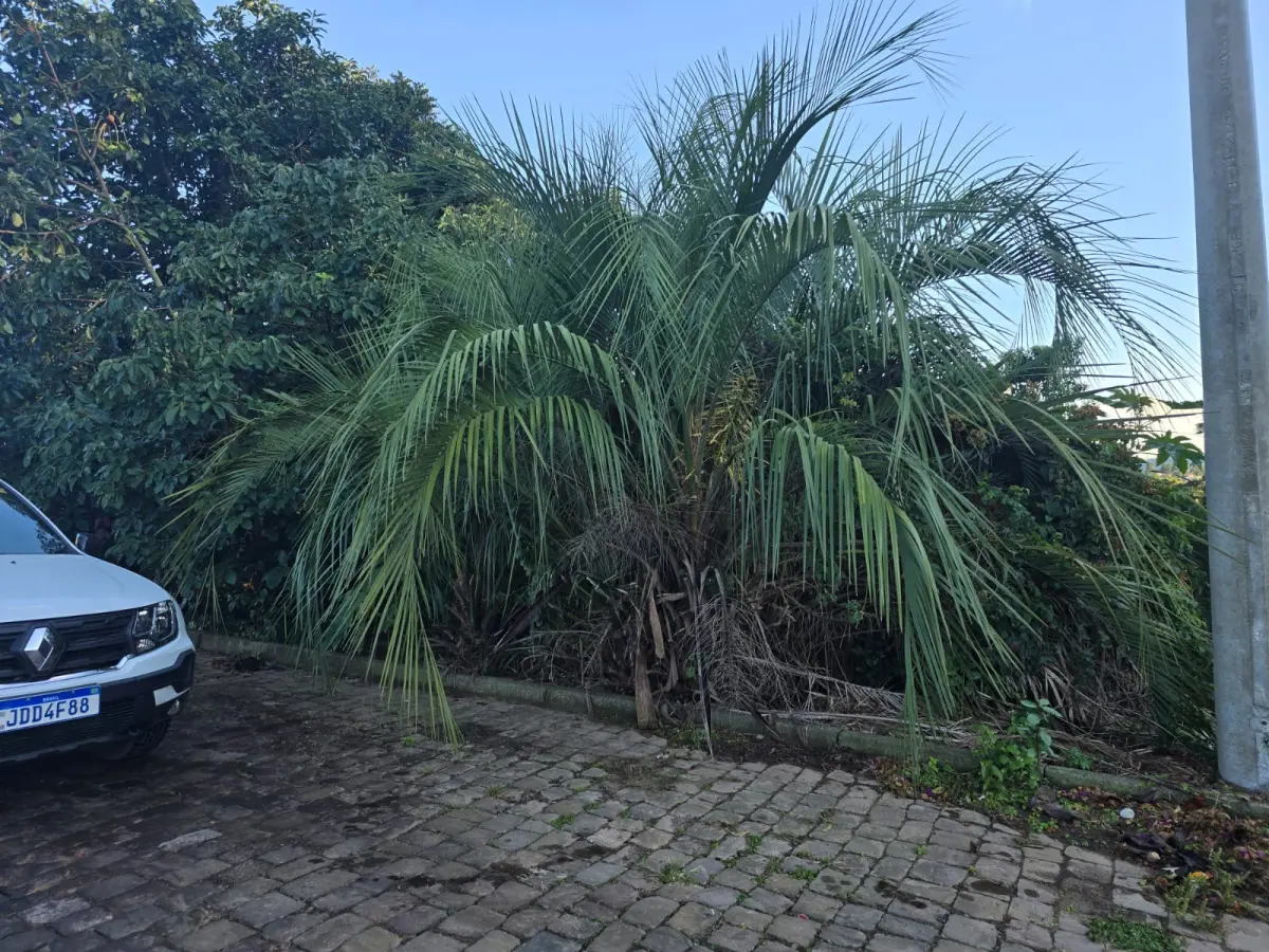 LOTE 021 - terreno urbano medindo 360 m2, sem benfeitorias, situado na Rua Alberto Antônio Gozzi,, Lote nº 02, da quadra nº 82, na Matrícula nº 5.311