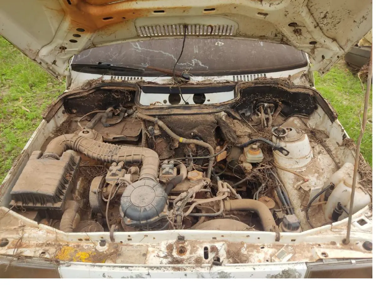 LOTE 030 - FIAT/UNO MILLE SX YOUNG, placa: IGY-9154, ano/modelo	97/98