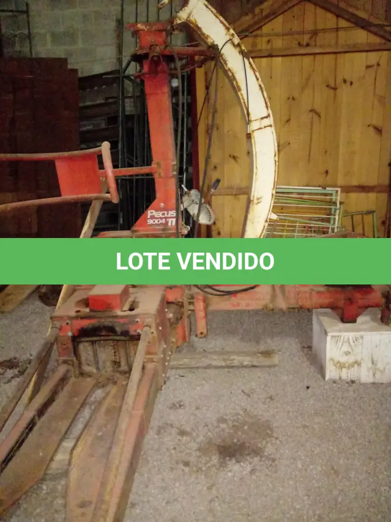 LOTE 011
