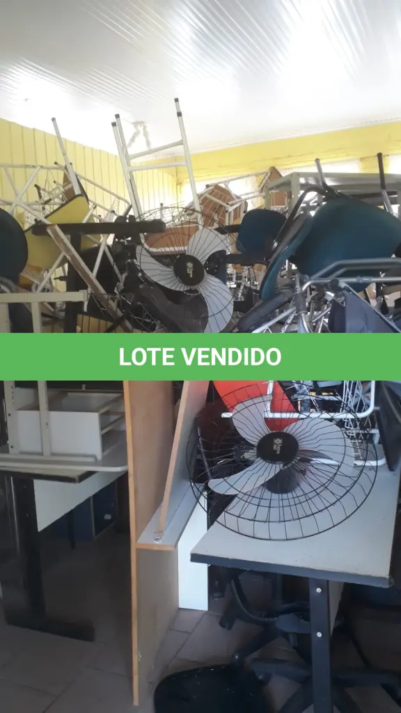 LOTE 003