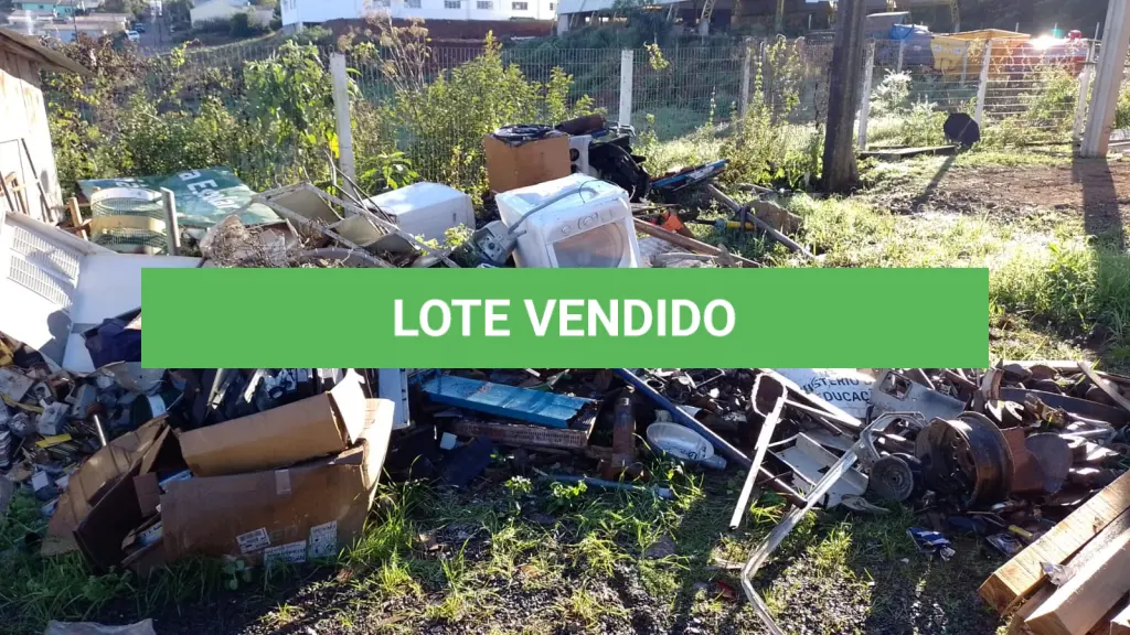 LOTE 011