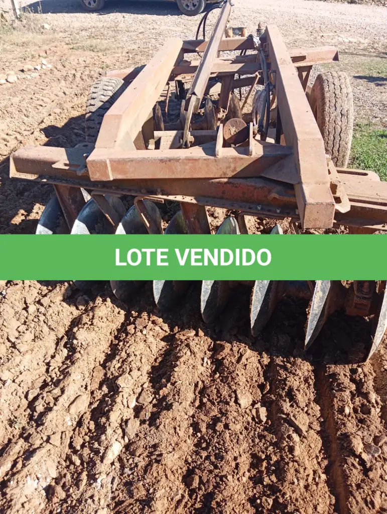 LOTE 007