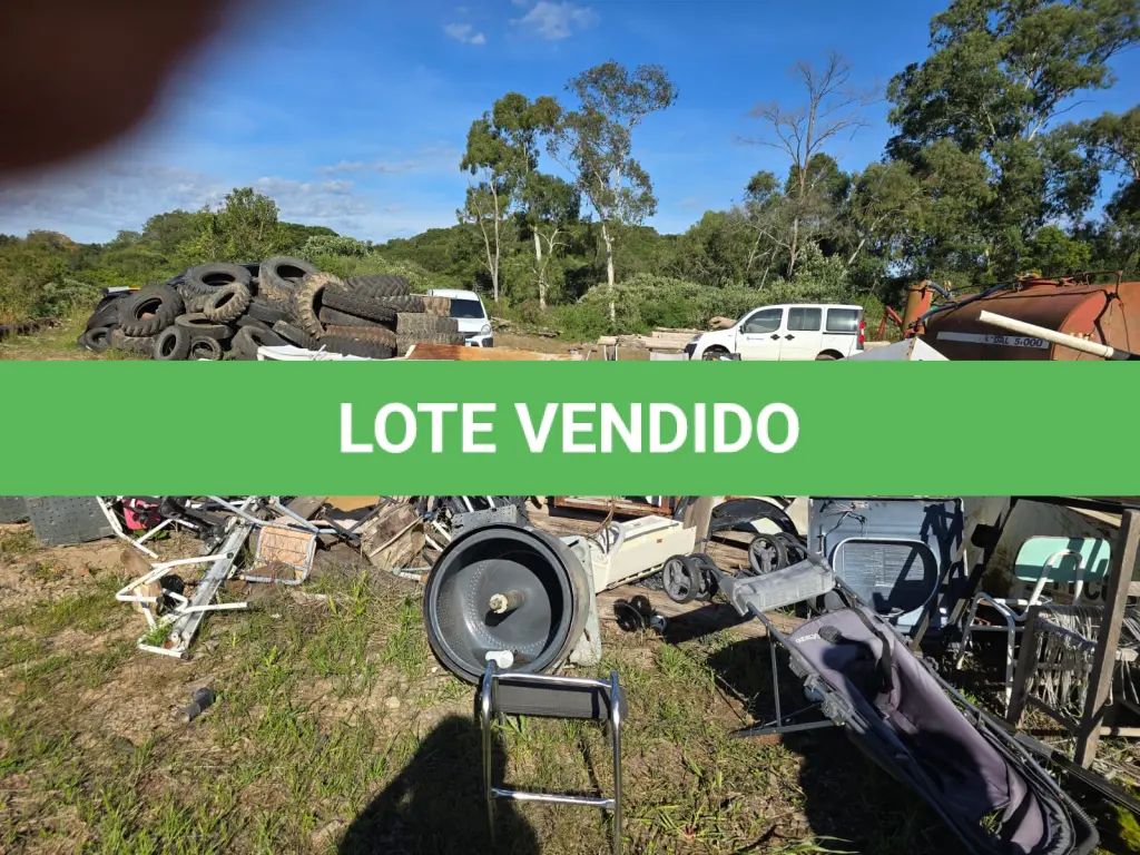 LOTE 029