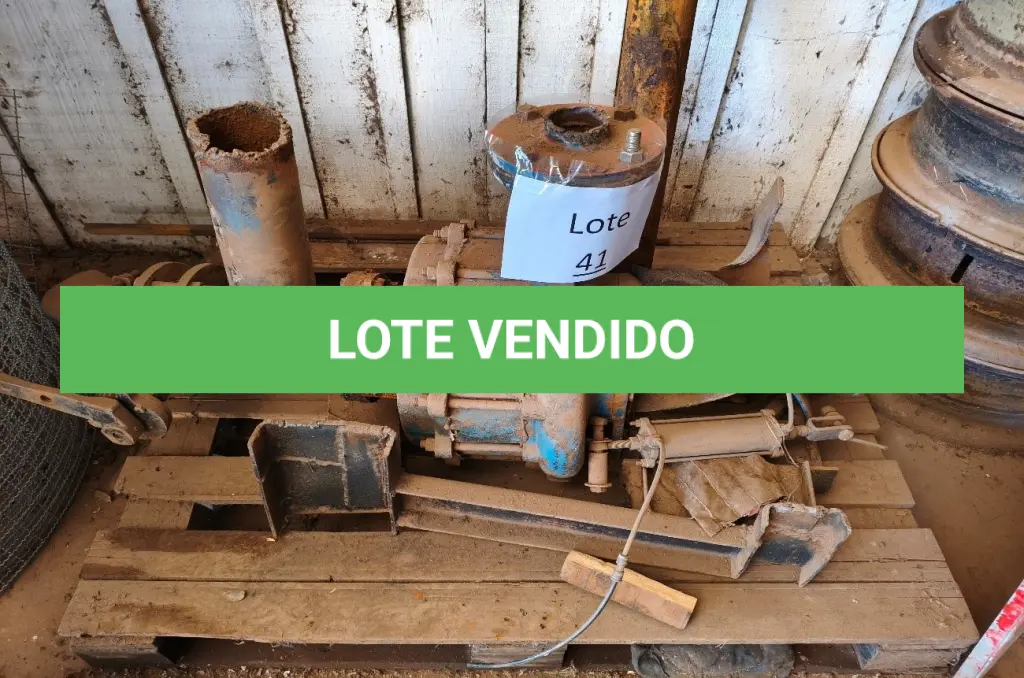 LOTE 041