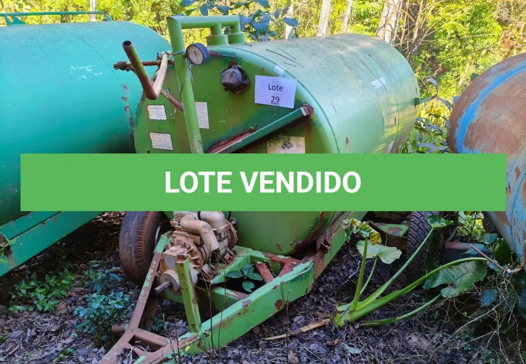 LOTE 029