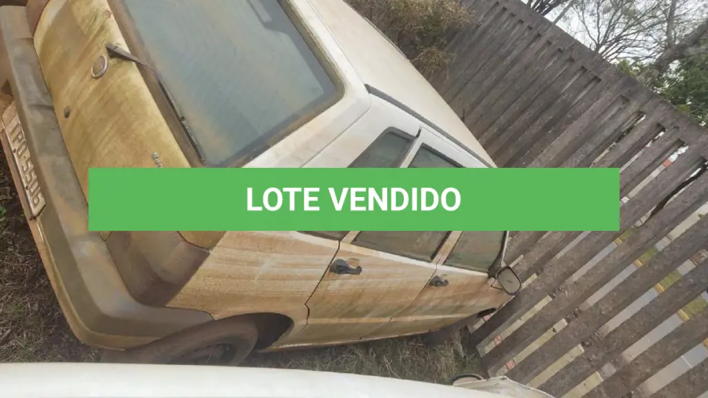 LOTE 019
