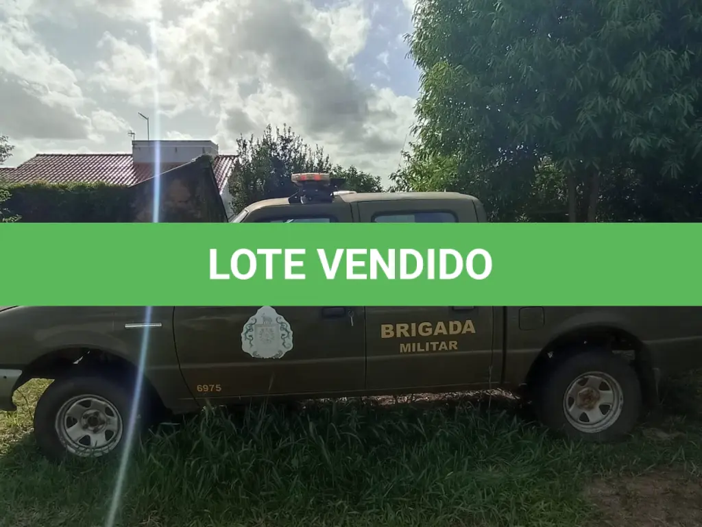LOTE 081