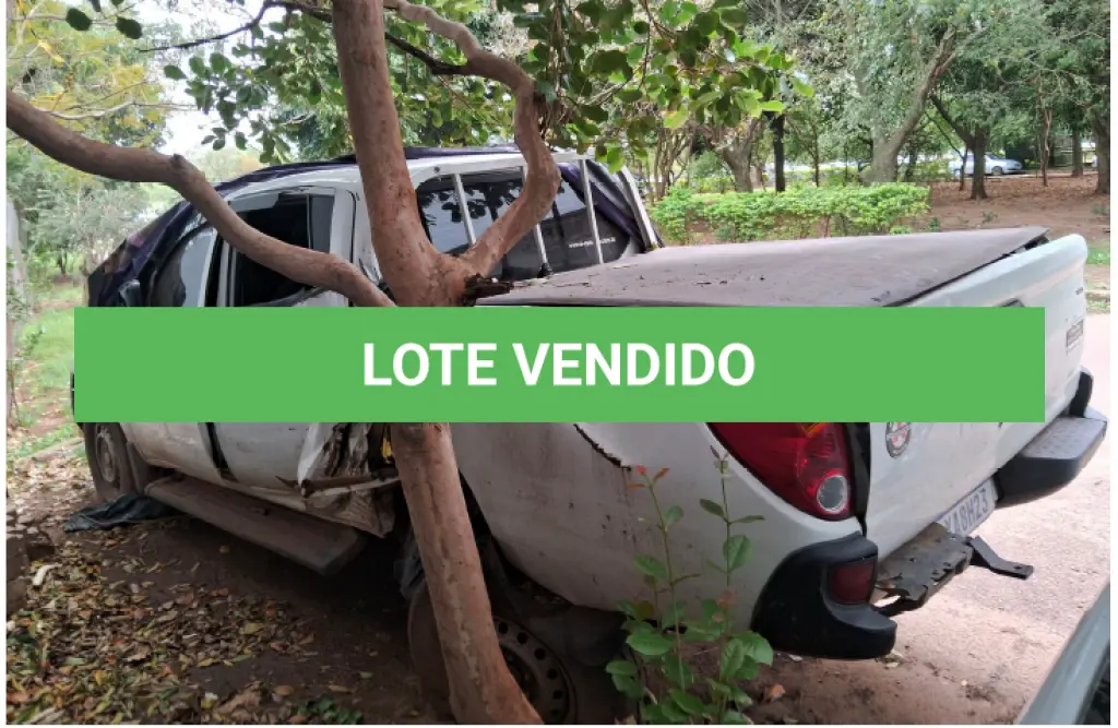 LOTE 060