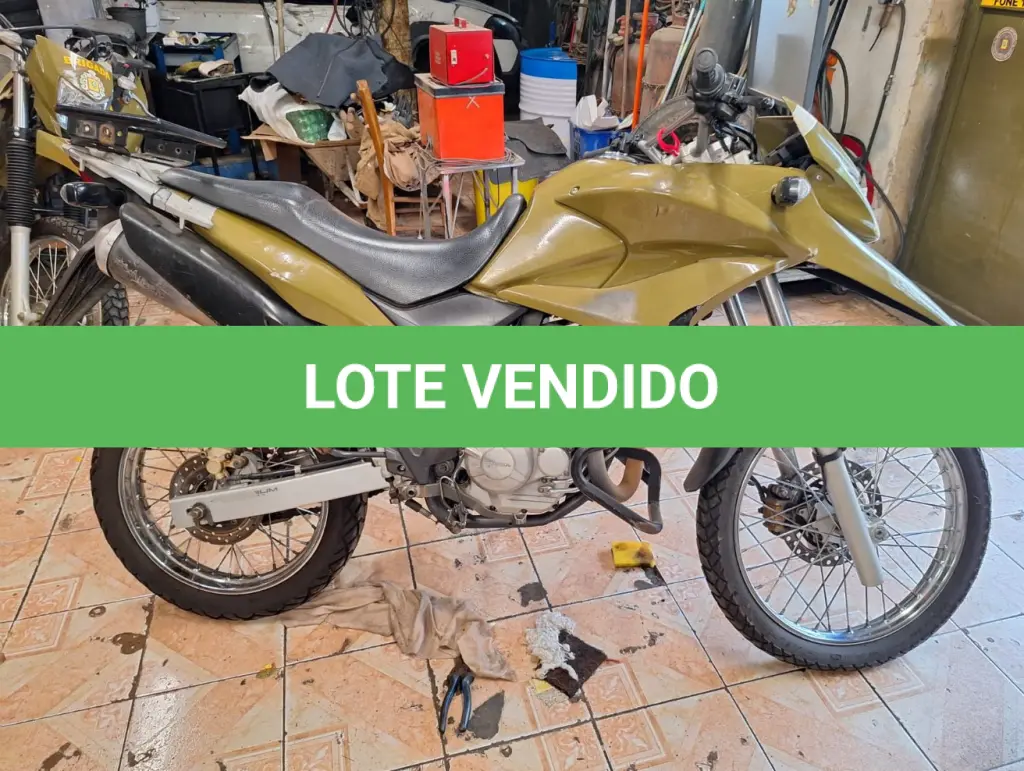 LOTE 009