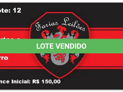 LOTE 012 - Portas e Portões de Ferro