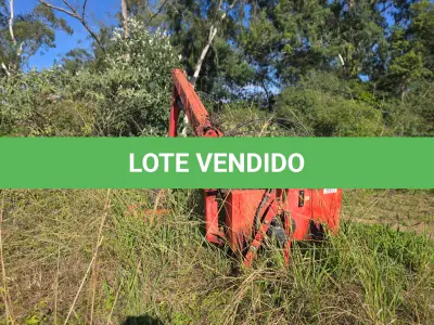 LOTE 017 - Roçadeira Hidráulica Articulada, marca Lavrale