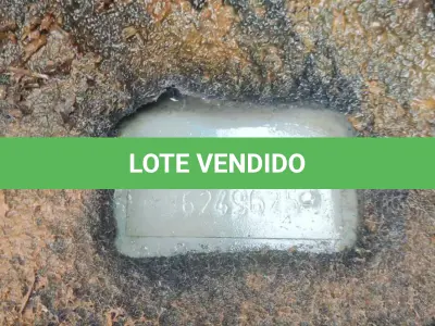 LOTE 019 - FIAT/UNO MILLE ECONOMY, placa: IPO-5506, ano/modelo: 09/09,