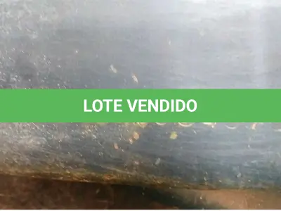 LOTE 004 - MMC/L200 4X4 GL, placa: 	JBM-1309, ano/modelo: 04/05