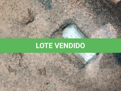 LOTE 014 - FIAT/UNO MILLE ECONOMY, placa: IPO-3499, ano/modelo: 09/09