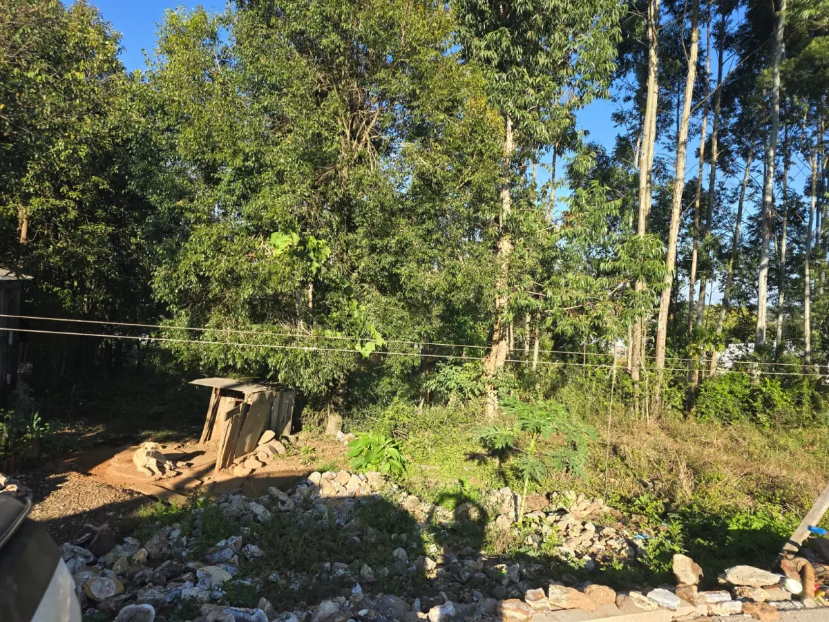 LOTE 019 - terreno urbano medindo 440 m2, sem benfeitorias, situado na Rua João Luiz Ferreira, Lote Urbano nº04, da Quadra nº 08 - B, na Matrícula nº 7.875