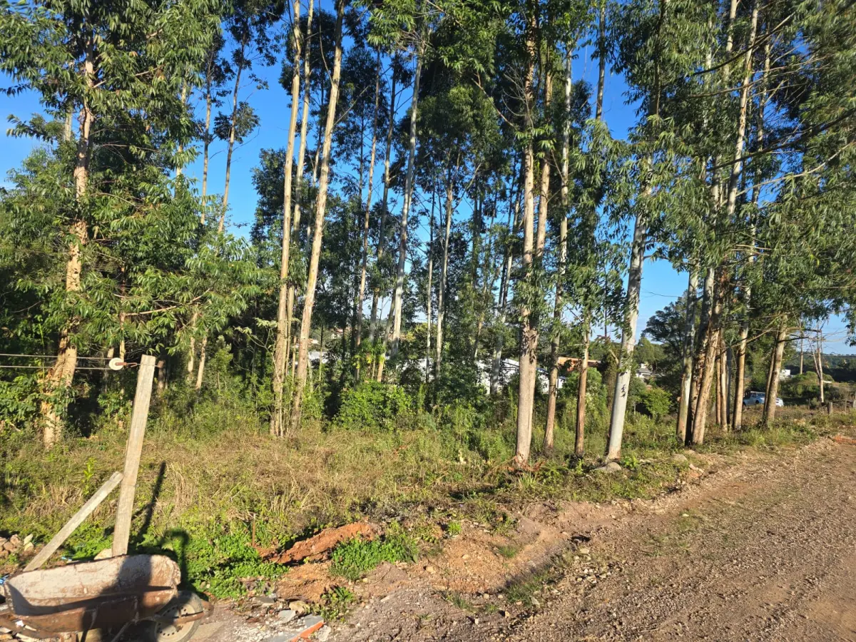 LOTE 020 - terreno urbano medindo 440 m2, sem benfeitorias, situado na Rua João Luiz Ferreira, esquina com a Rua Humberto Valério, Lote nº 05, da quadra nº 08 – B, na Matrícula nº 7.876