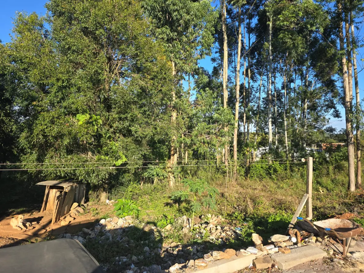 LOTE 019 - terreno urbano medindo 440 m2, sem benfeitorias, situado na Rua João Luiz Ferreira, Lote Urbano nº04, da Quadra nº 08 - B, na Matrícula nº 7.875