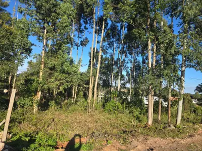 LOTE 020 - terreno urbano medindo 440 m2, sem benfeitorias, situado na Rua João Luiz Ferreira, esquina com a Rua Humberto Valério, Lote nº 05, da quadra nº 08 – B, na Matrícula nº 7.876