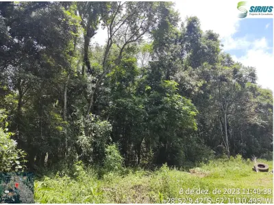 LOTE 001 - Área  Urbana de 4.725m² em Arvorezinha/RS