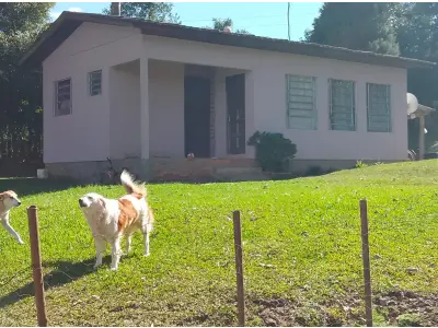 LOTE 022 - Um prédio de alvenaria (somente a Escola), medindo 49,50 m2, situado dentro do terreno de metragem de 450 m2, dentro da matrícula 832, na Linha Quarta São Bráz, denominada de Escola Guerino Mucelin