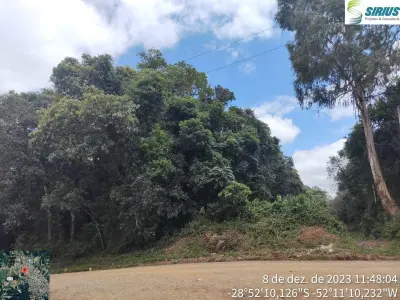 LOTE 001 - Área  Urbana de 4.725m² em Arvorezinha/RS