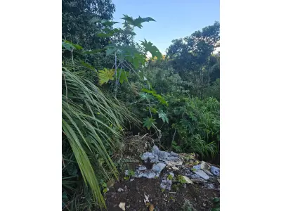 LOTE 021 - terreno urbano medindo 360 m2, sem benfeitorias, situado na Rua Alberto Antônio Gozzi,, Lote nº 02, da quadra nº 82, na Matrícula nº 5.311