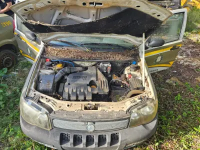 LOTE 091 - FIAT/PALIO WK ADVEN FLEX, placa: JBM-2093, ano/modelo:	06/07