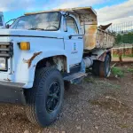 LOTE 020 - CAMINHÃO BASCULANTE GM CHEVROLET 12000 Custo 13,30PBT, placa IHJ1239, ano/modelo 1990/1990