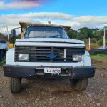 LOTE 020 - CAMINHÃO BASCULANTE GM CHEVROLET 12000 Custo 13,30PBT, placa IHJ1239, ano/modelo 1990/1990