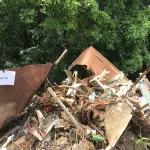 LOTE 004 - Sucata de ferro