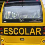 LOTE 009 - MICROÔNIBUS ESCOLAR – IPZ – 0567 – Marcopolo Volare V6 Escolarbus MWM; 2008/2008, amarelo