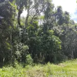 LOTE 001 - Área  Urbana de 4.725m² em Arvorezinha/RS