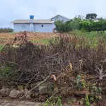LOTE 001 - Terreno Urbano Itapuca/RS
