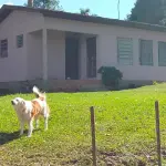 LOTE 022 - Um prédio de alvenaria (somente a Escola), medindo 49,50 m2, situado dentro do terreno de metragem de 450 m2, dentro da matrícula 832, na Linha Quarta São Bráz, denominada de Escola Guerino Mucelin