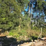 LOTE 019 - terreno urbano medindo 440 m2, sem benfeitorias, situado na Rua João Luiz Ferreira, Lote Urbano nº04, da Quadra nº 08 - B, na Matrícula nº 7.875