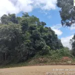 LOTE 001 - Área  Urbana de 4.725m² em Arvorezinha/RS