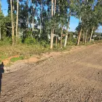 LOTE 020 - terreno urbano medindo 440 m2, sem benfeitorias, situado na Rua João Luiz Ferreira, esquina com a Rua Humberto Valério, Lote nº 05, da quadra nº 08 – B, na Matrícula nº 7.876