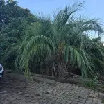 LOTE 021 - terreno urbano medindo 360 m2, sem benfeitorias, situado na Rua Alberto Antônio Gozzi,, Lote nº 02, da quadra nº 82, na Matrícula nº 5.311