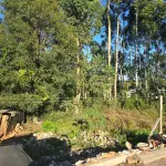 LOTE 019 - terreno urbano medindo 440 m2, sem benfeitorias, situado na Rua João Luiz Ferreira, Lote Urbano nº04, da Quadra nº 08 - B, na Matrícula nº 7.875