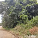 LOTE 001 - Área  Urbana de 4.725m² em Arvorezinha/RS